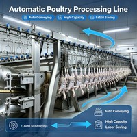 Machine à épiler la volaille en acier inoxydable, outil d'épluchage rapide pour poulet, canard, oie, caille, dinde, usage agricole
