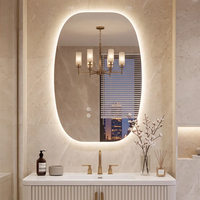 Miroir de salle de bain LED ovale irrégulier avec éclairage rétroéclairé, anti-buée, commande tactile, miroir de vanité intelligent pour la rénovation d'hôtels