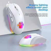 Souris sans fil rechargeable BT à double mode, 2400 DPI, avec motif de patte de chat de dessin animé, multicolore, lumineuse, silencieuse, 2.4G