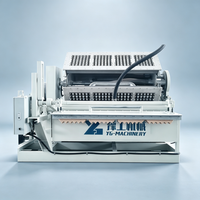 Machine de moulage de barquettes à œufs avec technologie de thermoformage et conception de moule remplaçable pour les produits d'emballage en papier