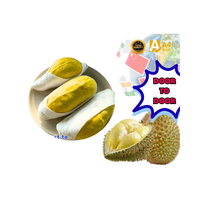 Verse Thaise Monthong Durian, natuurlijke zoetheid, direct verzendklaar, premium kwaliteit, exportkwaliteit, 500g, 14 dagen houdbaarheid, gekoelde opslag