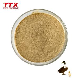 Yem enzimi hazırlama selülaz enzim asit proteaz - Product Image 6