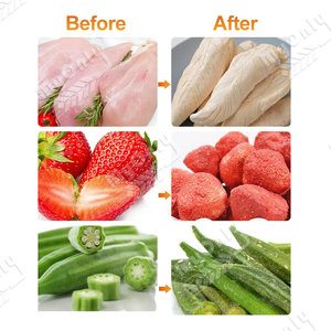 Thương mại của tôi giá tốt lyophilize 200kg 600kg thực phẩm chân không đóng băng thăng hoa máy sấy máy - Product Image 3