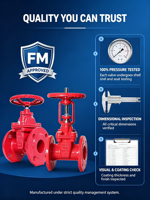 Vanne à opercule à bride homologuée FM, 3 pouces, en fonte, pour alimentation en eau, 200 PSI, AWWA C509, homologuée UL