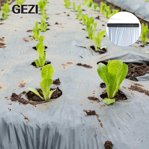 Film de paillage agricole en polypropylène (PP) non tissé biodégradable, <span class=keywords><strong>anti</strong></span>-roussissement, avec trous, noir, pour l'agriculture - Product Image 4