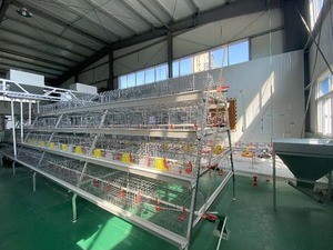 Nouveau système de cages à poulets empilables en A pour l'élevage avicole, construction métallique galvanisée à chaud, nettoyage facile, pour <span class=keywords><strong>poules</strong></span> pondeuses - Product Image 4