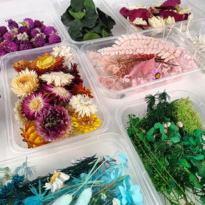 En vrac <span class=keywords><strong>pas</strong></span> <span class=keywords><strong>cher</strong></span> feuille eucalyptus rose <span class=keywords><strong>fleurs</strong></span> séchées bricolage bougie faisant boîte multi-forme jour de la terre de pâques - Product Image 2