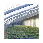 Cobertizo de cultivo de flores personalizado de alta calidad, jardín de varios tramos, túnel de invernadero agrícola de plástico, precio de invernadero