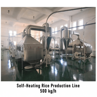 Ligne de production de riz enrichi à double extrudeuse, machine de fabrication de riz artificiel nutritif