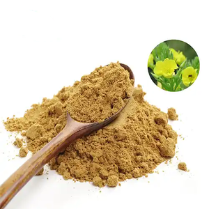 Yüksek Kaliteli Çuha Çiçeği Tozu Çuha Çiçeği Ekstresi Tozu Çuha Çiçeği Ekstresi - Product Image 4