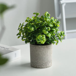 Plante artificielle en eucalyptus miniature en pot, verdure en plastique pour la décoration de la maison à Pâques, Noël, Halloween, remise de diplôme, Nouvel An - Product Image 5