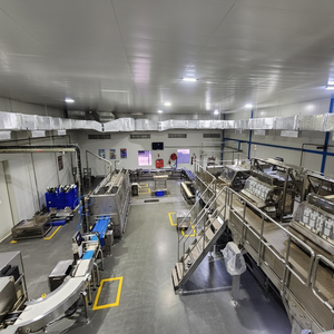 Machine d'emballage alimentaire pour snacks quotidiens surgelés avec moteur de remplissage de plateau comme composant de base - Product Image 1