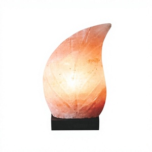 Lámpara de Sal USB con Forma de Hoja, Ecológica, Hecha a Mano con Material Orgánico, Pieza Decorativa Rosa, Reduce Alergias/Trastornos Respiratorios - Product Image 3