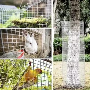 Secure High Tensile Anti-corrosion PVC Coated Welded Mesh <strong>Square</strong> Hole Orchard Chicken <strong>Cage</strong> - Product Image 6