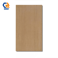 Carreaux de sol/mur intérieurs en porcelaine imitation bois massif moderne, résistants à l'usure, antibactériens, résistants aux acides, mats, 9 mm, 600x1200 mm