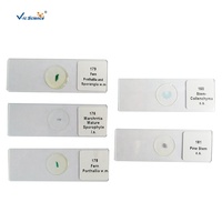 8pcs Glass Root Microscope Prepared Slides Set for School Teaching Aids in Botany & Biology