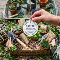 Étiquettes suspendues en papier floral biodégradable avec corde |   Étiquettes rondes plantables |   Inserts pour boîtes cadeaux écologiques et de faveur de mariage