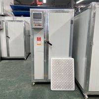 Déshydrateur alimentaire pour poisson et viande, four de séchage électrique en acier, sécheuse de fruits et légumes, machine de déshydratation