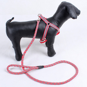 Correa <span class=keywords><strong>de</strong></span> ruleta retráctil para mascotas ajustable automática <span class=keywords><strong>de</strong></span> 3M y 5M, correas <span class=keywords><strong>de</strong></span> tracción <span class=keywords><strong>de</strong></span> entrenamiento <span class=keywords><strong>de</strong></span> nailon personalizadas para perros pequeños y grandes y gatos - Product Image 5