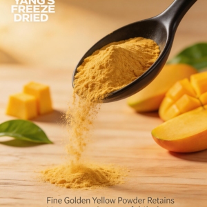 Gedroogde <span class=keywords><strong>mango</strong></span> poeder 100% puur, geen toevoegingen, voedingskwaliteit, rijke geur, wateroplosbaar, bulk, voor gezonde voeding, dranken, export - Product Image 3