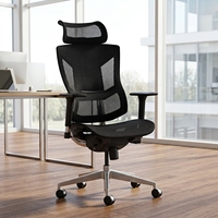 Chaise de bureau ergonomique à dossier haut en maille avec cadre en alliage d'aluminium poli, accoudoirs 3D réglables, chaise de direction pour bureau à domicile