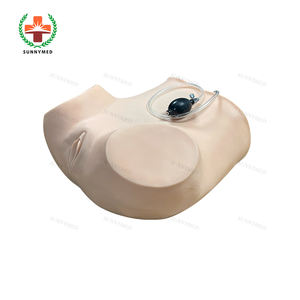 SY-N003 de entrenamiento ginecológico, modelo anatomico médico, precio - Product Image 5