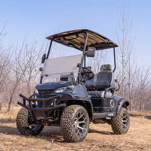2 Seater Golf Cart Lithium Battery Off Road Tires 4KW to 7.5KW Motor Customizable High Capacity Design Accommodates up to 4 Pass - Product Image 5