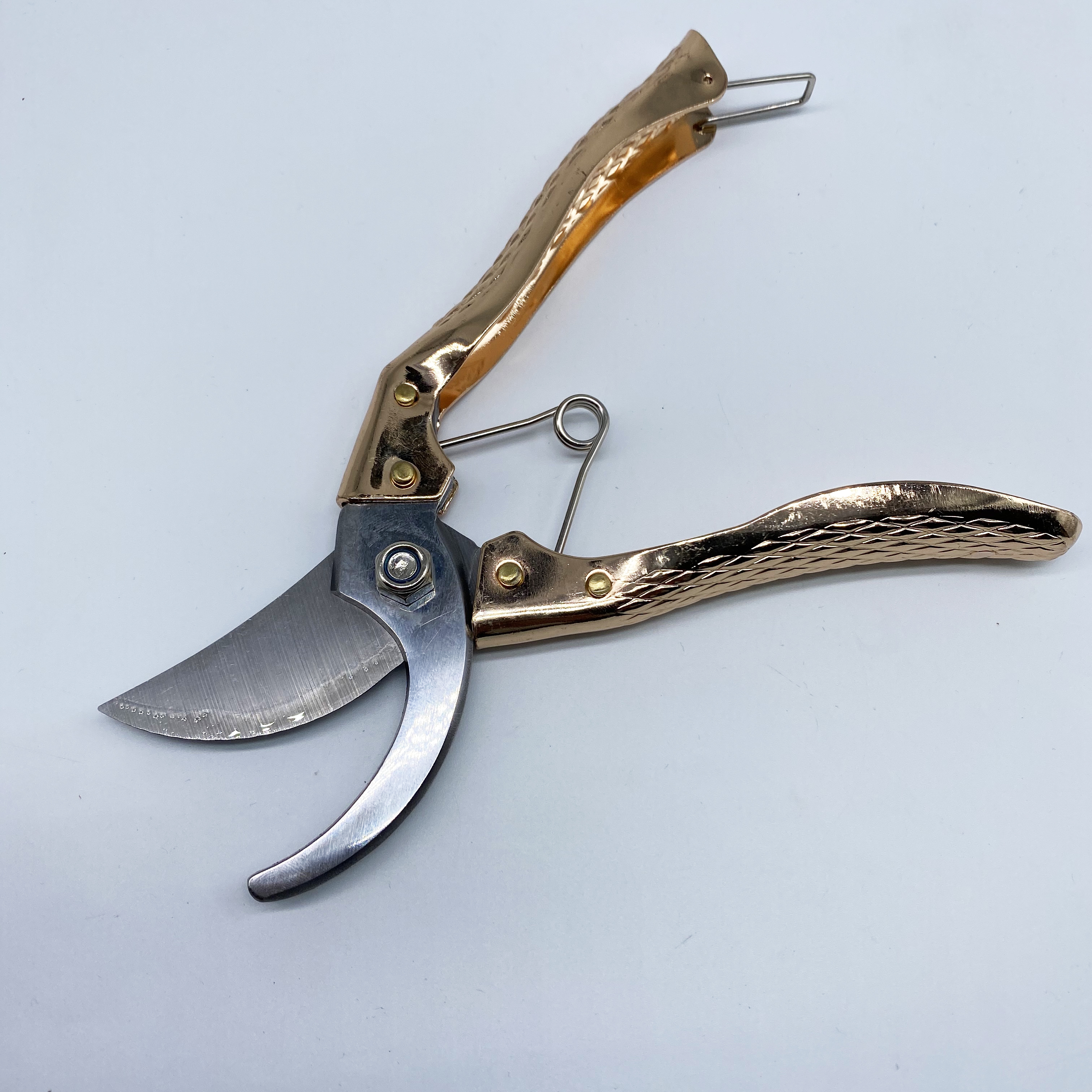 CYRUS ガーデンバサミ 剪定鋏 切断はさみ 花 シャープガーデニング  