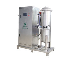 QJOZONE 800g Industrieller Ozongenerator zur Wasseraufbereitung Ozonisierte Wasserquelle 1 Jahr Garantie