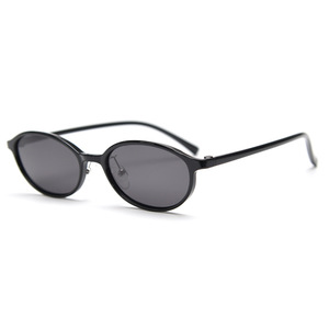 Lunettes de soleil ovales rétro personnalisées avec logo 2026 pour hommes et femmes, verres TAC UV400, lunettes de soleil polarisées rondes unisexes - Product Image 5