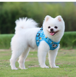 Harness Anjing Jaring Kecil yang Dapat Disesuaikan dari Desainer Mewah - Product Image 6