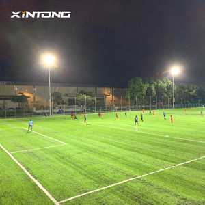 Golf Driving Range <strong>25</strong> <strong>Meters</strong> <strong>High</strong> <strong>Mast</strong> <strong>Light</strong> with Protective Cage - Product Image 3