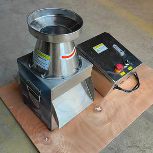 Machine à broyer et à racler la chair de noix de coco en acier inoxydable, qualité 304, puissance 1,5 kW, capacité 50-100 kg/h - Product Image 2