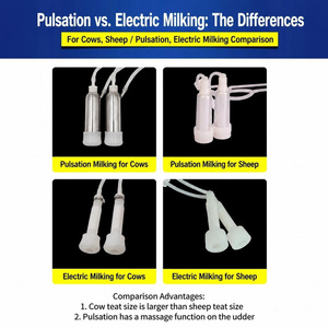 Mungitrice Elettrica Autoadescante per Mucche, Capre e Pecore con Tubi in Silicone Rinforzati e Tettarelle in Acciaio Inossidabile - Product Image 4