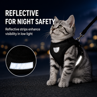 Ensemble Harnais et Laisse pour Chat en Maille, Réglable, Anti-Évasion, pour la Promenade et les Voyages