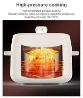 Cuisinière à pression électrique multifonction numérique 800W 3L avec cuve antiadhésive et minuterie programmable pour usage domestique