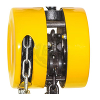 Palan à chaîne manuel de levage de grue de construction robuste de 5 tonnes avec la manipulation matérielle de levage de la corde 1T/2T/3T/5T/10T