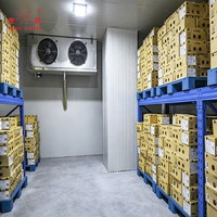 Supplier Ruang Pendingin Walk-In Berkualitas Tinggi Untuk Restoran, Supermarket, dan Gudang
