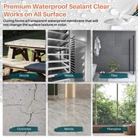 Revêtement imperméable transparent Agent imperméabilisant invisible Scellant intérieur et extérieur Scellant transparent à base d'eau Toits Murs Jardin