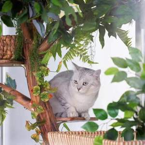 คอนโดแมวทรงสูง โครงไม้หรูหรา พร้อมแท่นกระ<span class=keywords><strong>โดด</strong></span> ที่ปีนป่าย และเสาแมวทำจากใยไซซอล - Product Image 3