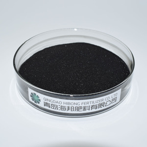 Precio de fábrica Polvo de extracto de algas marinas orgánicas sólidas Fertilizante natural para plantas - Product Image 3
