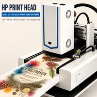 Mesin Cetak Digital Kemasan Digital HP Head 210mm untuk Cetak Cangkir Kertas, Mangkuk, dan Selongsong dengan Printer Inkjet Single Pass Kecepatan Tinggi Baru