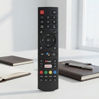 Télécommande de remplacement en gros pour téléviseurs intelligents Android NOISE et décodeurs DVB-T2, spéciale marché indonésien
