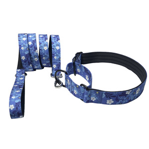 Heat Transfer Dog Collar Custom Pattern Advanced Sense Neck Collar <b>Explosion</b>-proof Punch Training Dog Supplies Collar Towing Set - Product Image 4