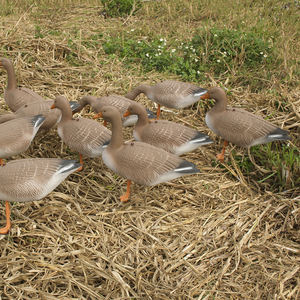 Señuelos de Caza de Gansos Ligeros de la Marca DaQin al por Mayor, Material EVA, Plegables, 3D, Plástico Suave, Flotantes con Pie Naranja - Product Image 4