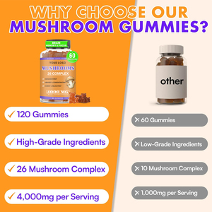 Complément alimentaire nootropique pour stimuler le cerveau, marque privée OEM, gommes à la crinière de lion biologique, complexe de champignons, gommes - Product Image 2