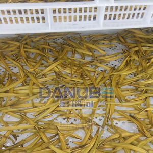 Industrial Food Drying Equipment Chive, Lettuce, Chinese Cabbage, Green Pea Dryer Sweet Potato Dryer - Product Image 6