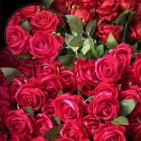 GNW Factory Vente en gros de fleurs décoratives artificielles en velours, roses simples personnalisées