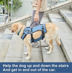 Vente en gros <span class=keywords><strong>Harnais</strong></span> de transport pour chien Grande laisse robuste <span class=keywords><strong>Harnais</strong></span> de sécurité pour chien confortable et handicapé - Product Image 4