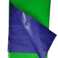 Bâches en PE Général 90gsm 120gsm 8mil 10mil Bâche en PE Imperméable Plastique Revêtement Poly